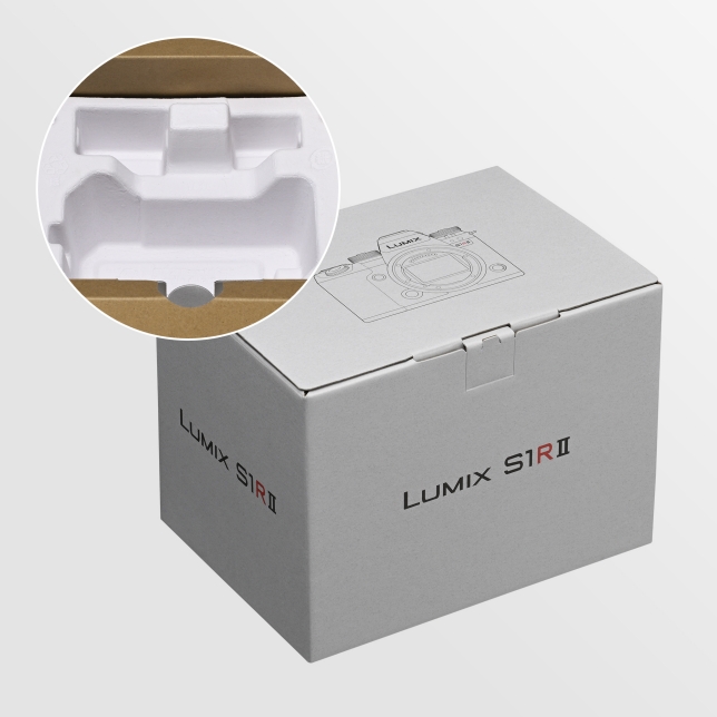 Panasonic DC-S1RM2E ast 2635408.jpg.pub .thumb .644.644