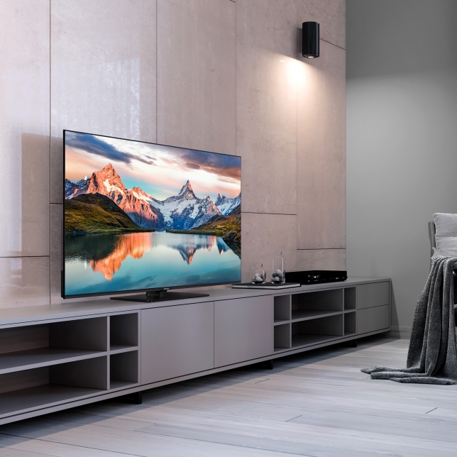 Panasonic TB-55W61AEZ 1 ast 2655041.jpg.pub .thumb .644.644