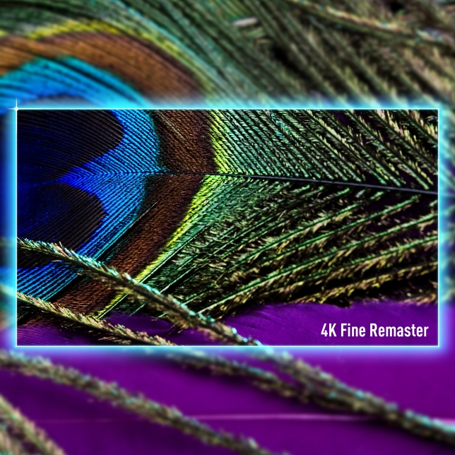 Panasonic TV-77Z90BE6 1 ast 2667330.jpg.pub .thumb .644.644