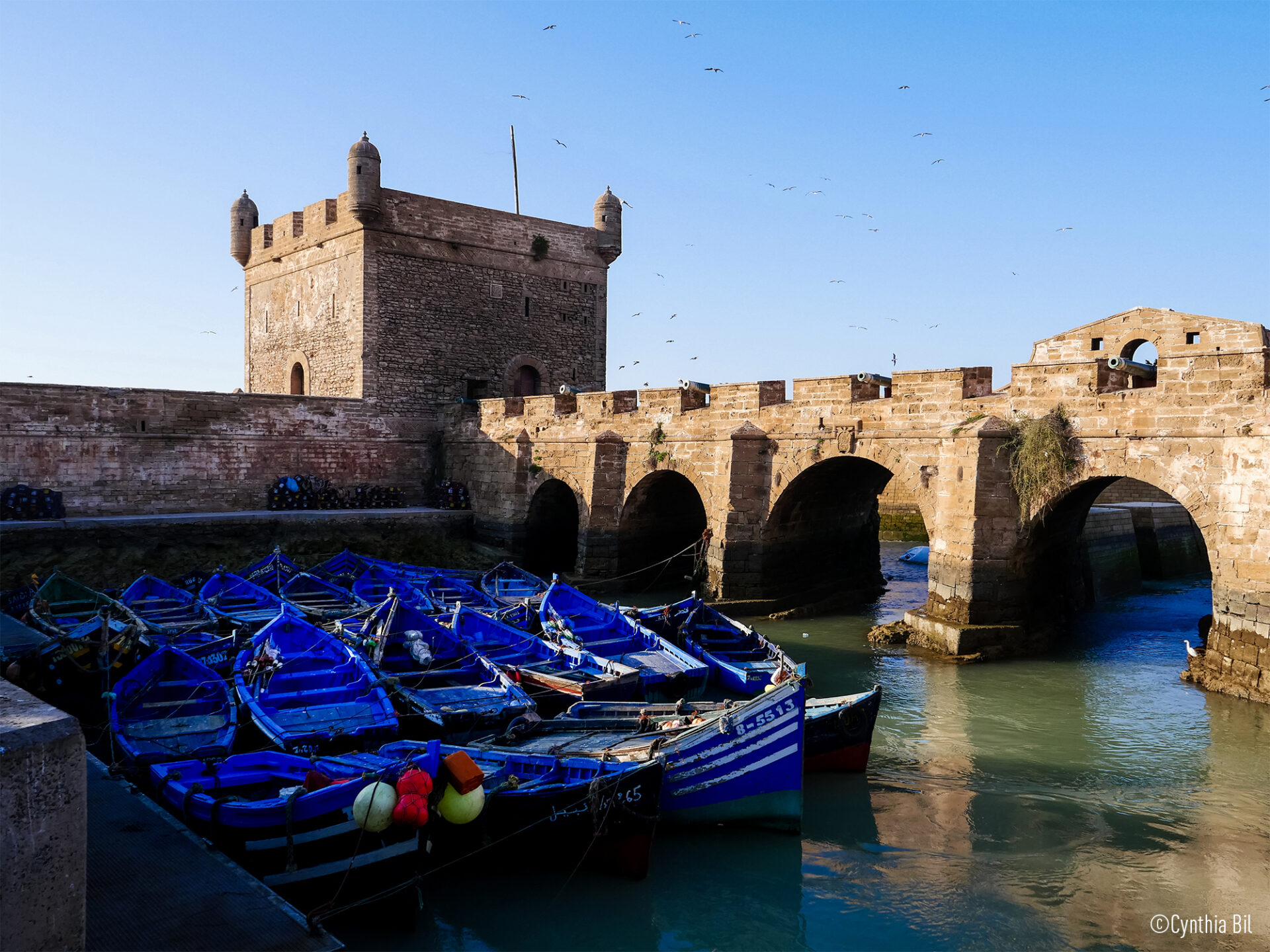 Panasonic DC-G97E 2 lumix 2024 g97 getinspired 1 241205