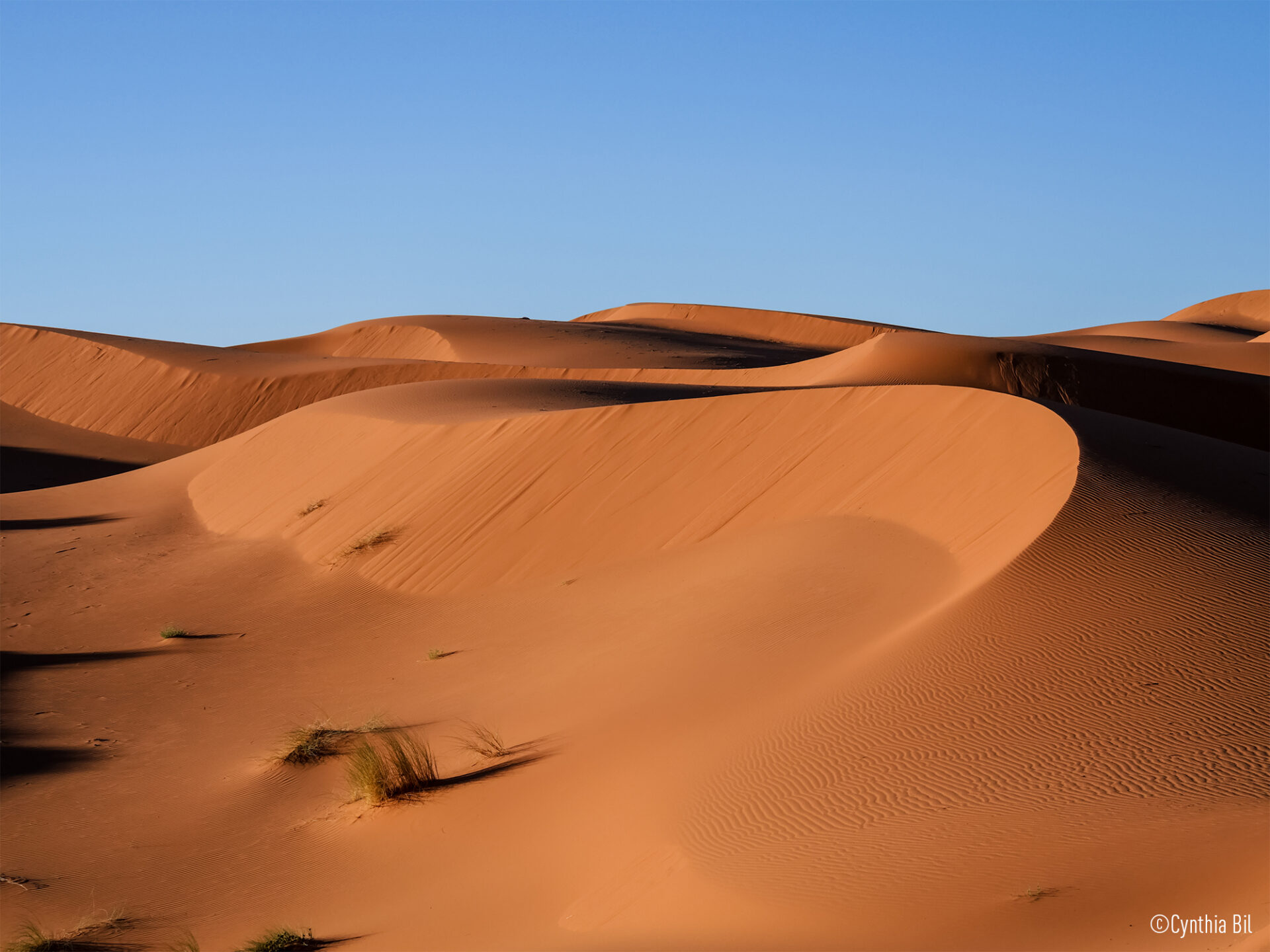 Panasonic DC-G97E 2 lumix 2024 g97 getinspired 3 241205