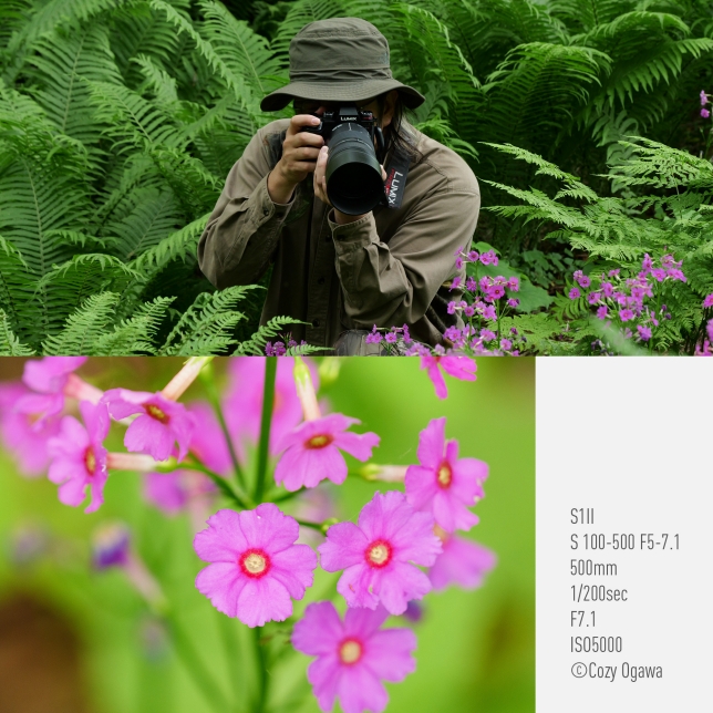 Panasonic S-R100500E Panasonic S-R100500 ultra-teleobjektív so zoomom (100–500mm, F5–7,1, stabilizácia O.I.S., Dual I.S.2, odolný proti prachu, striekajúcej vode a mrazu) 7 Panasonic S-R100500E ast 2929018.jpg.pub .thumb .644.644